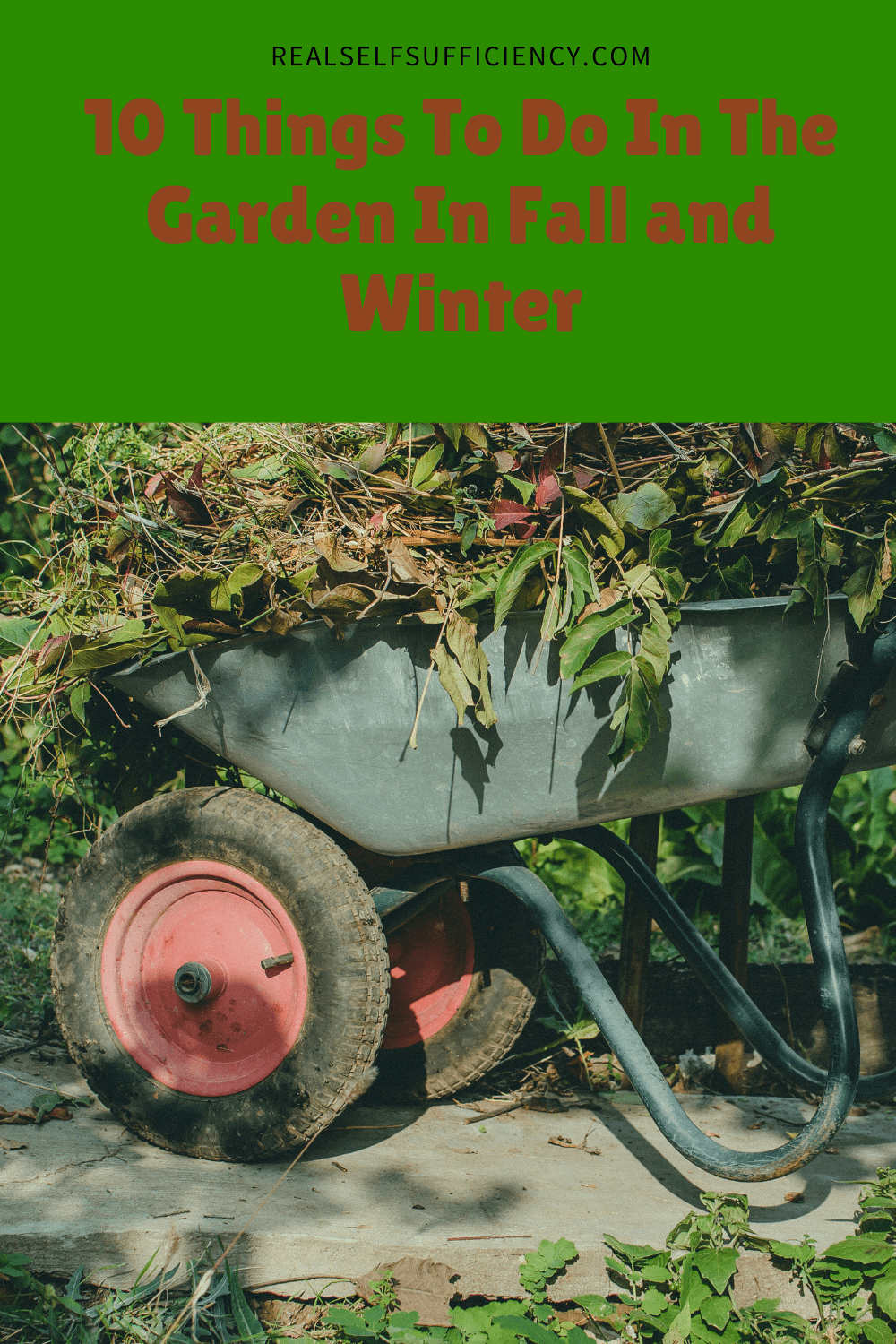 10 Things To Do In The Garden In Fall and Winter - Real Self-Sufficiency