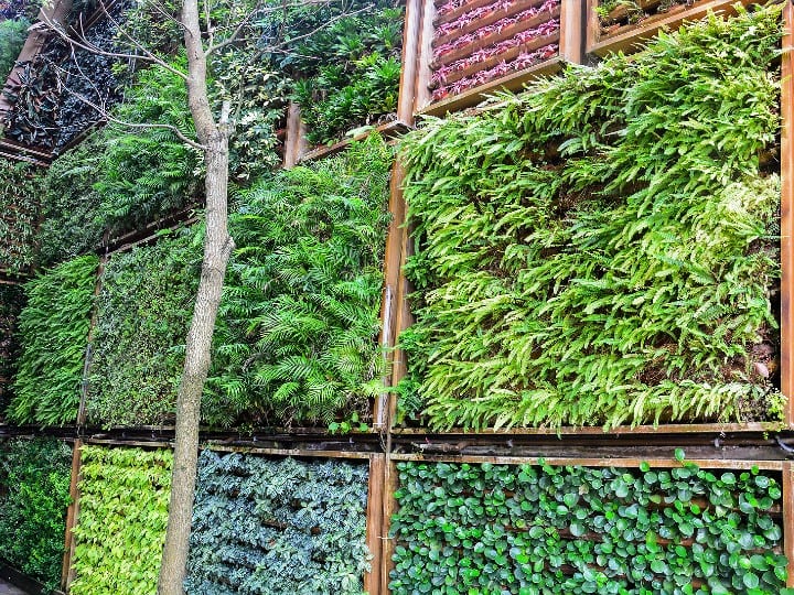 vertical garden