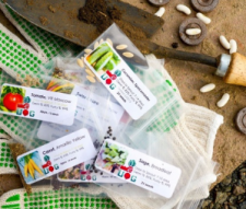 Urban Organic Gardener