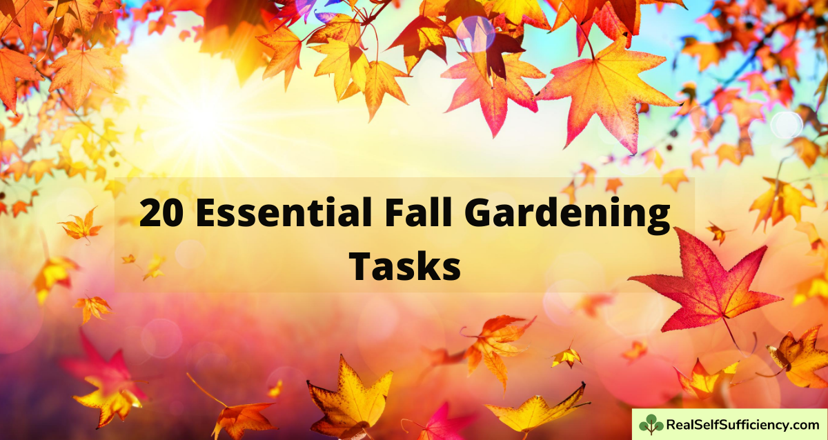 What Should You Do With Your Garden In the Fall? 20 Essential Fall ...