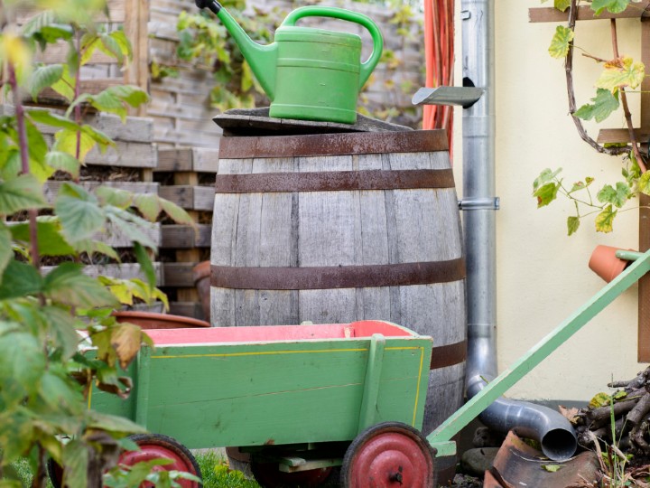 gift ideas for gardeners