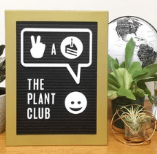 plant subscription box