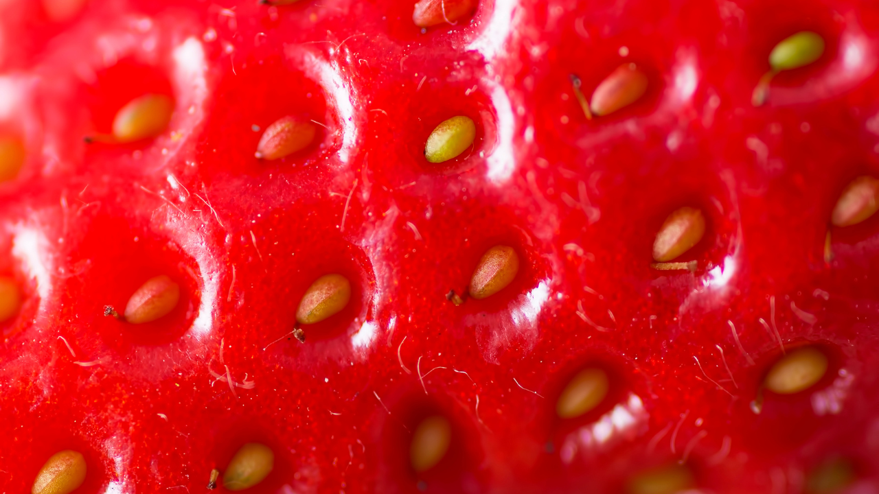 strawberry seeds macro