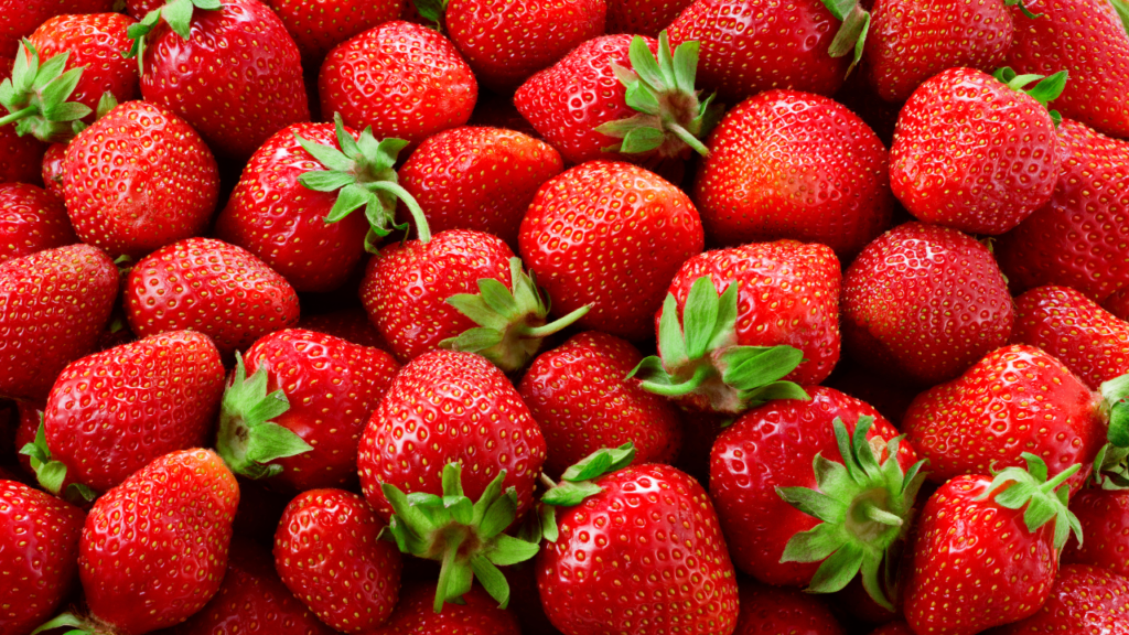 Lots of ripe strawberries