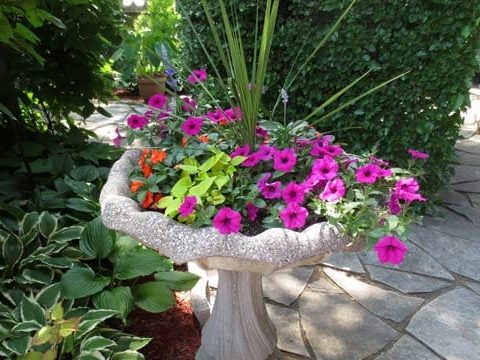 Image for 12. Birdbath Flowerbed