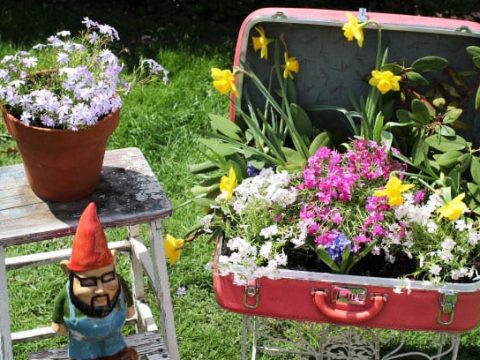 Image for 18. Vintage Suitcase Flowerbed