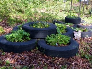 Image for 16. Old Tire Flowerbed