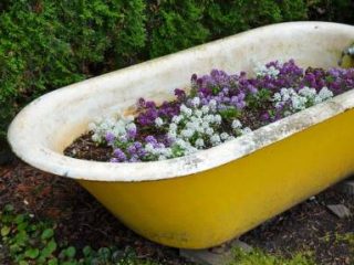 Image for 30. Bathtub Flowerbed