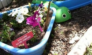 Image for 7. Kiddie Pool Flowerbed