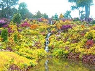 Image for 27. Monochromatic Flowerbed
