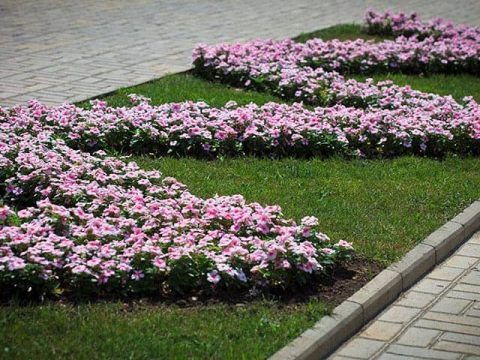 Image for 25. Patterned Flowerbed