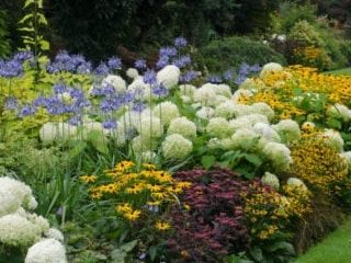 mounded flower bed