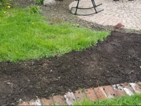 Image for 3. No Dig Flower Borders
