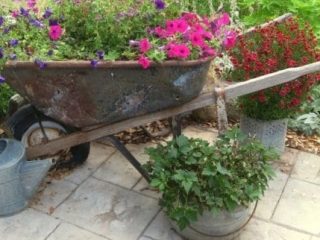 Image for 21. Wheelbarrow Flowerbed