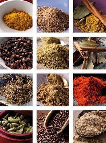 indian spices in a gift set