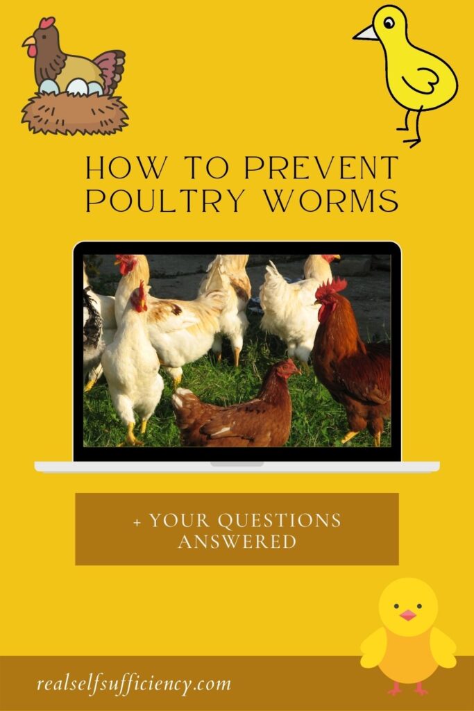 How to Prevent Poultry Worms