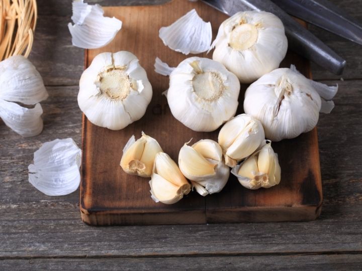 garlic can help prevent poultry ticks