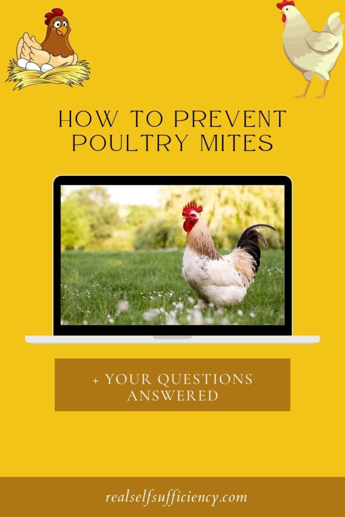 how to prevent poultry mites