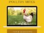 how to prevent poultry mites