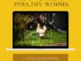 how to treat poultry worms