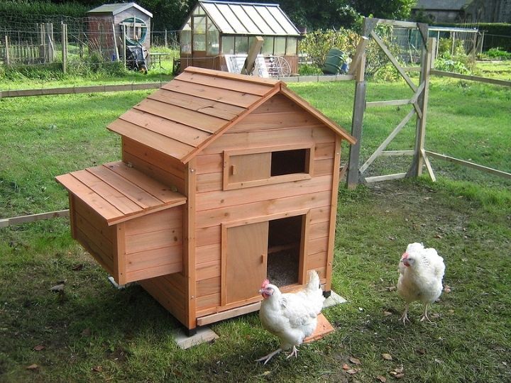 carefully inspect chicken coop to identify ticks