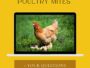 how to treat poultry mites