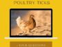 how to treat poultry ticks