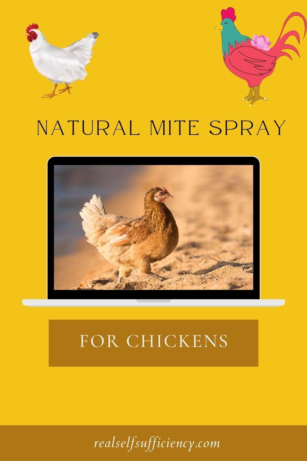 Natural Mite Spray for Chickens Real SelfSufficiency