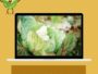 why are my cabbage leaves turning yellow?