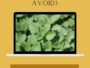 25 Best Oregano Companion Plants (And 3 You Should Avoid)