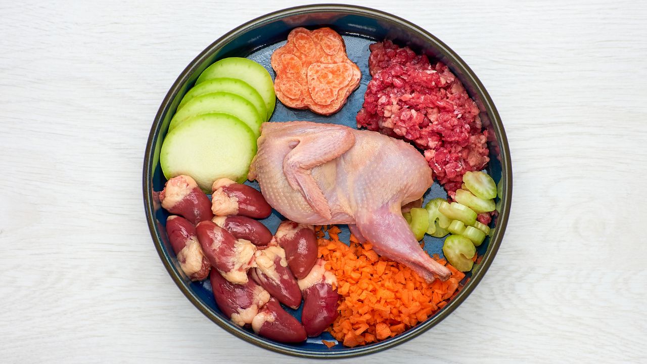 balanced raw dog food in a bowl