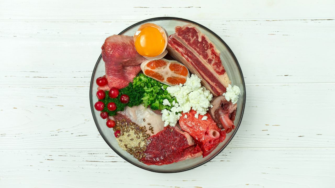 is feeding your dog raw food complicated