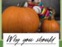 Should you feed your dog pumpkin?