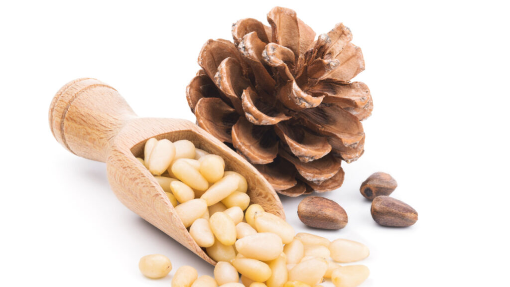 pine nuts