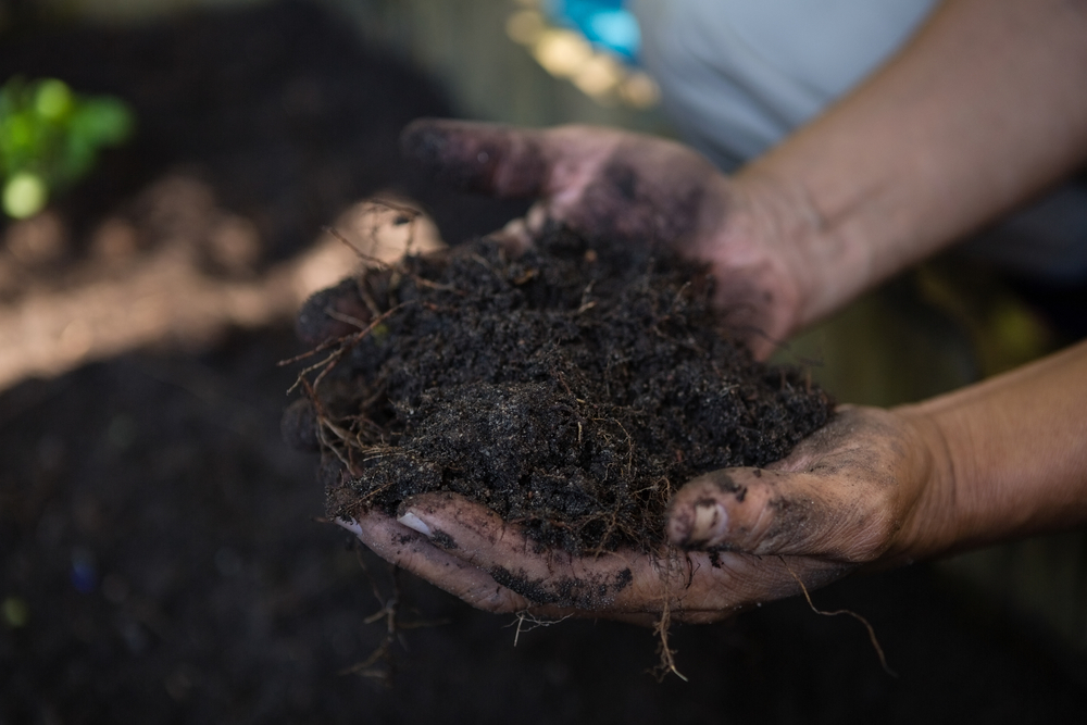 close-up of fine soil in the garden
