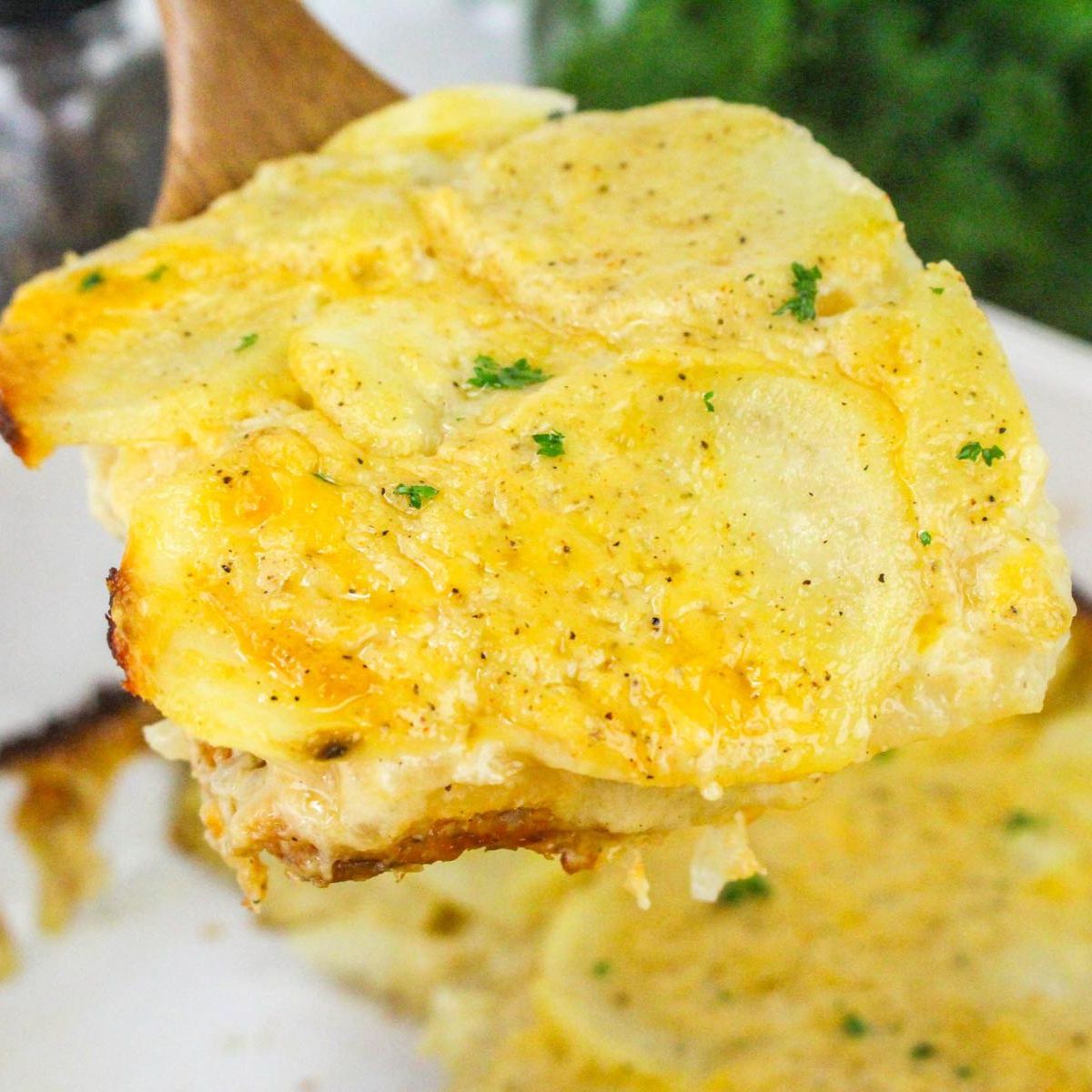 Classic Oven-Baked Scalloped Potatoes