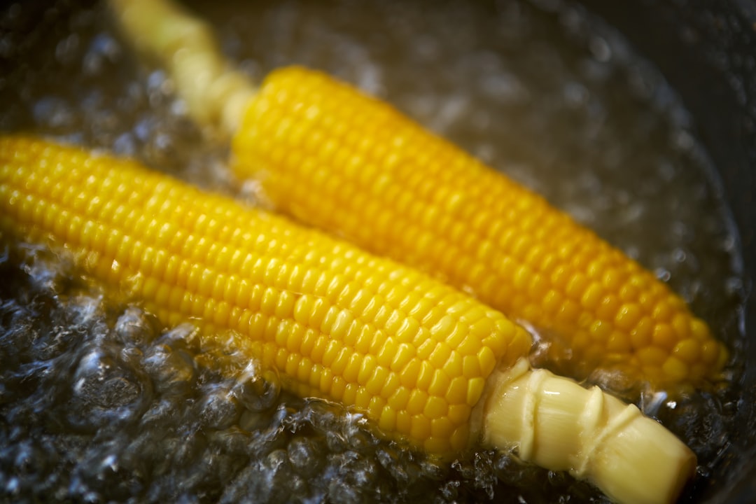 A close up of two corn on the cob