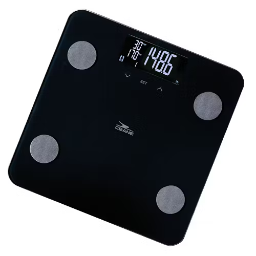 Body Fat Scale