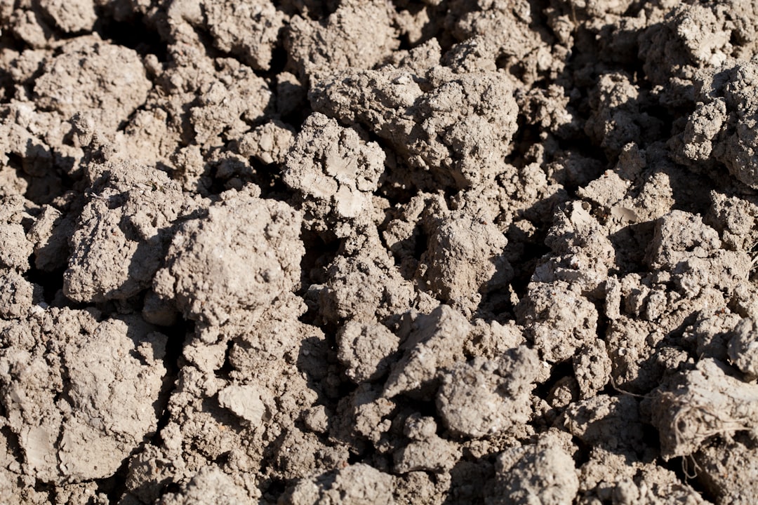 A close up of a pile of dirt