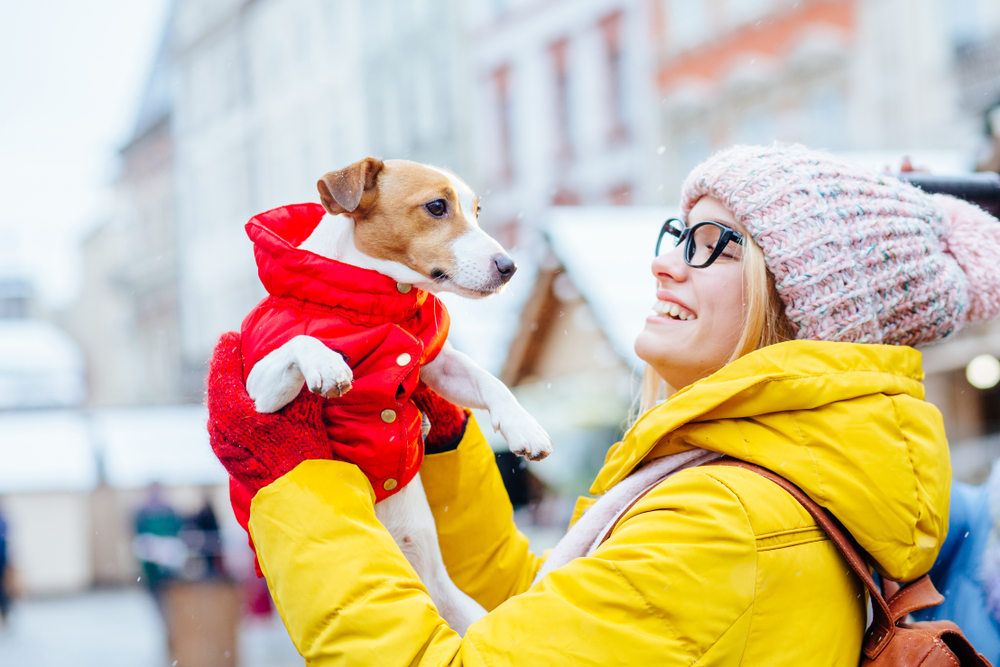 owner picking up their dog who is wearing a red coat