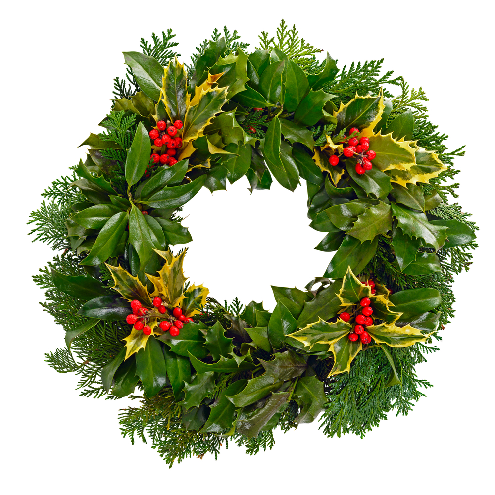 holly on a wreath