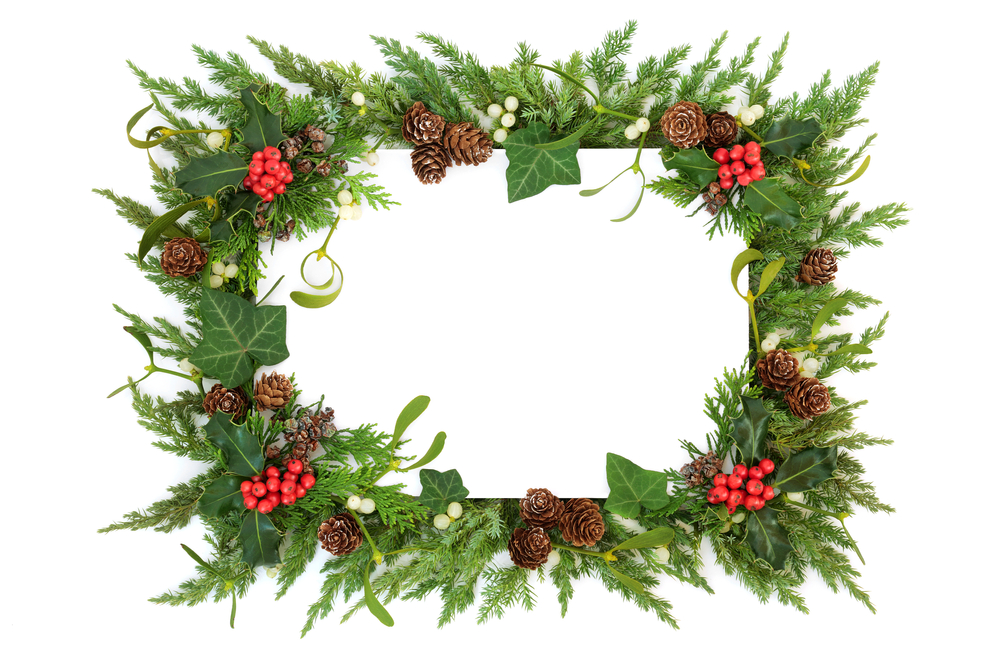 ivy on a winter garland
