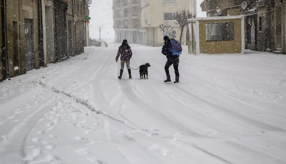 couple dog walking in snow in their neighborhood