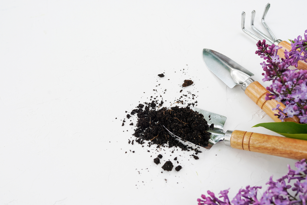 Gardening tools, soil and flowers