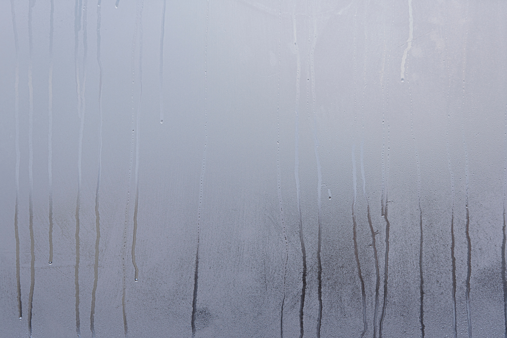 windows with condensation