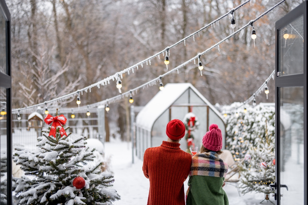 looking at the garden in winter