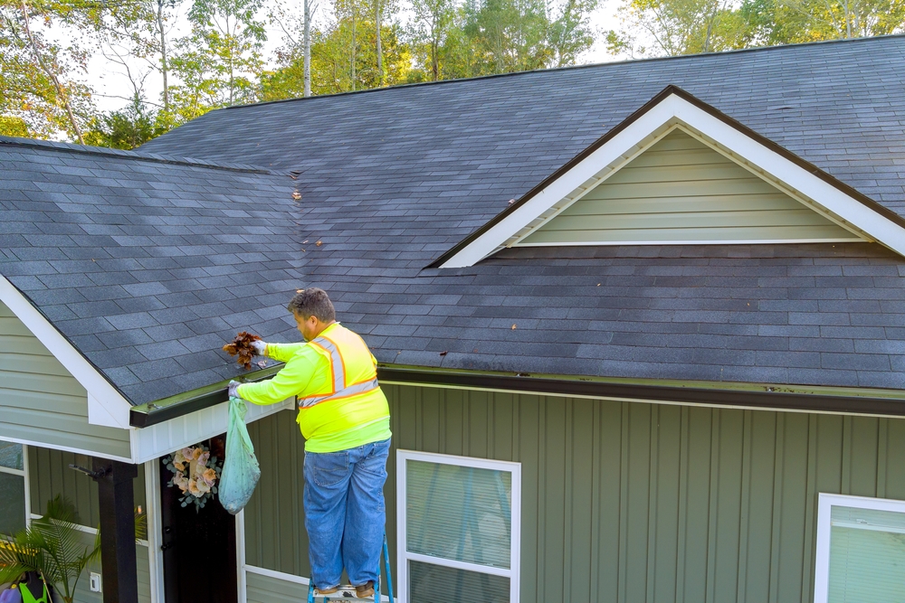 clean gutters
