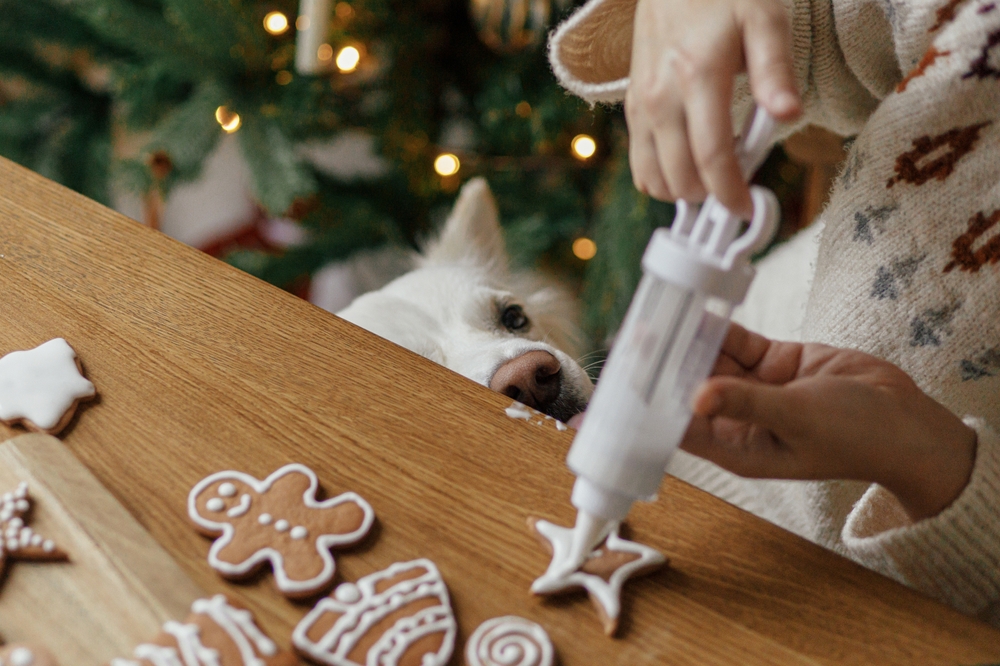dog trying to reach iced gingerbread men
