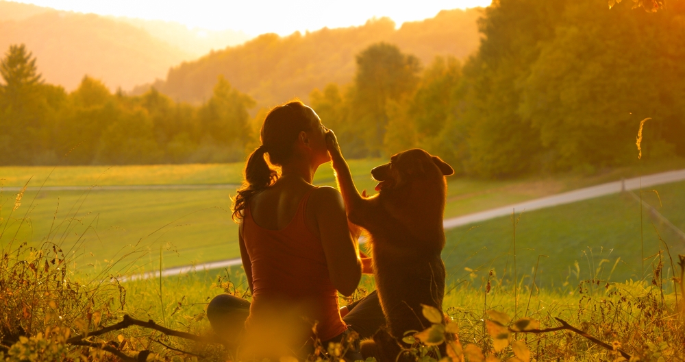dog putting paw on owner