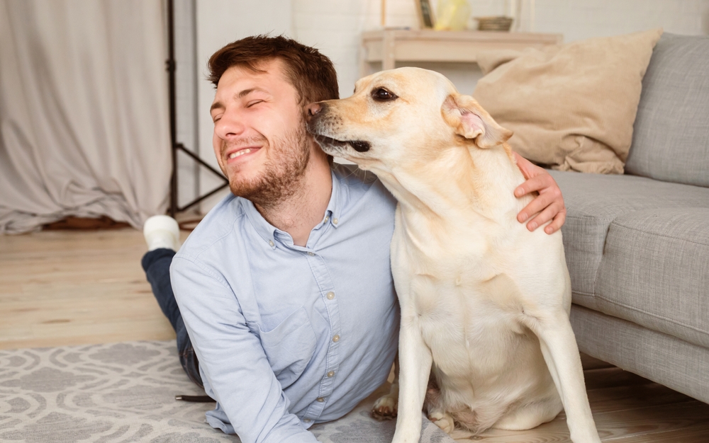 dog licking owners face